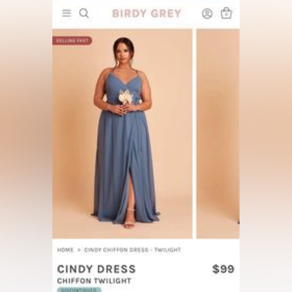 Birdy Grey Bridesmaid Dress - Picture 1 of 5